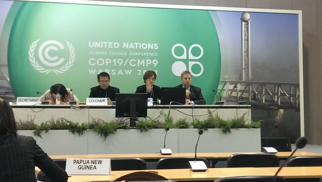 Reflections from the Chair of the REDD+ negotiations at COP 19 in&nbsp;Warsaw