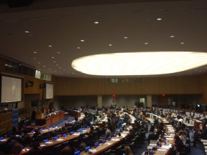 HRW at Genral Debate