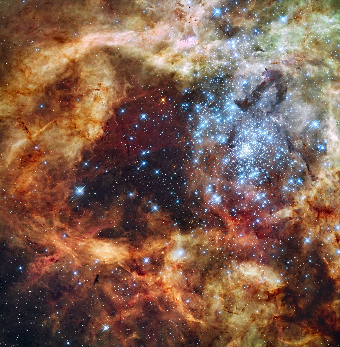 Grand_star-forming_region_R136_in_NGC_2070_(captured_by_the_Hubble_Space_Telescope)